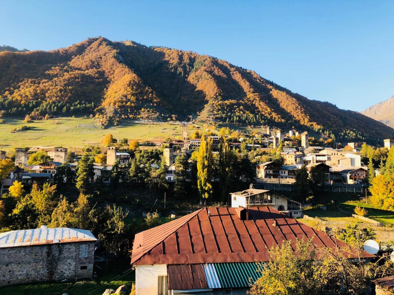 Travel House • მოგზაურის სახლი *